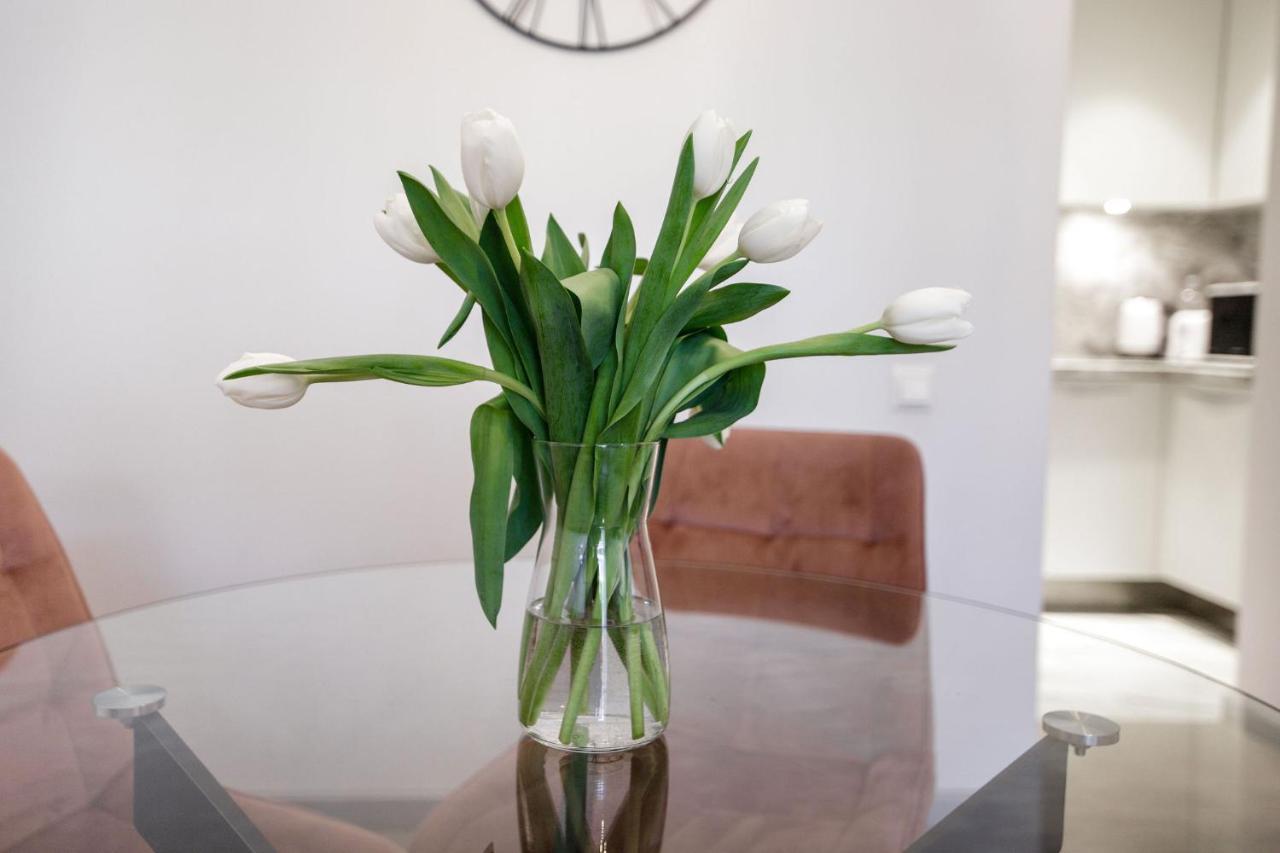New Apartment Loft Majori With Terrace Jūrkalne Εξωτερικό φωτογραφία